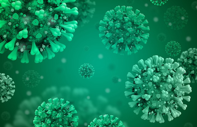 viry a jejich antigeny